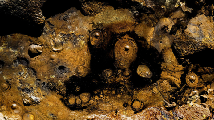 Demirel ali mahmut geoform 01 liquid still ahmet ogut