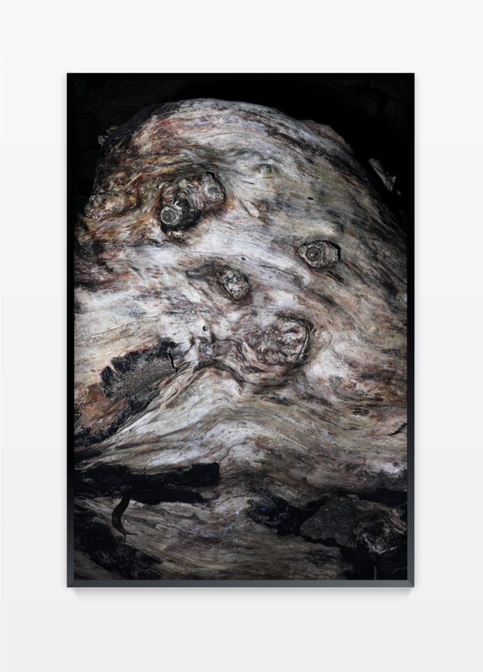Henz thibaut untitled 22 photography bettina steinbruegge hamburg