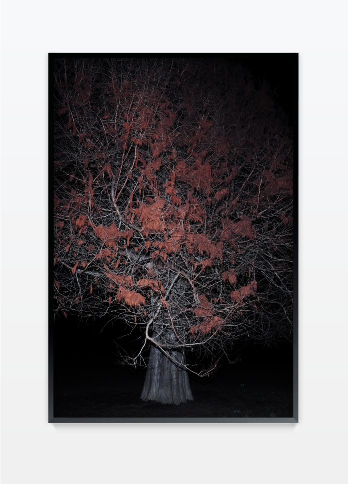 Henz thibaut untitled 24 photography bettina steinbruegge hamburg